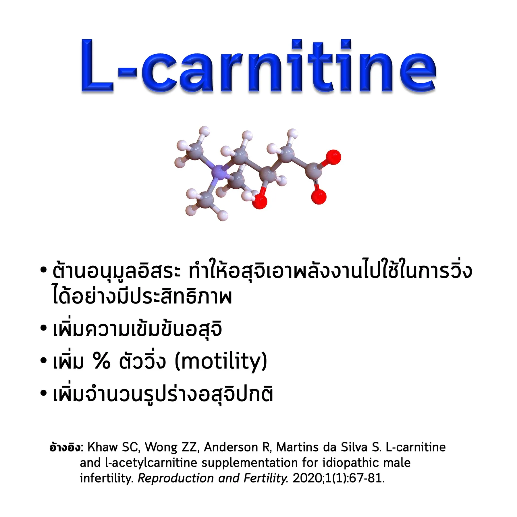 สไลด์ L-carnitine: โครงสร้างโมเลกุล ประโยชน์ต่ออสุจิ และงานวิจัยที่อ้างอิง (Khaw และคณะ 2020)