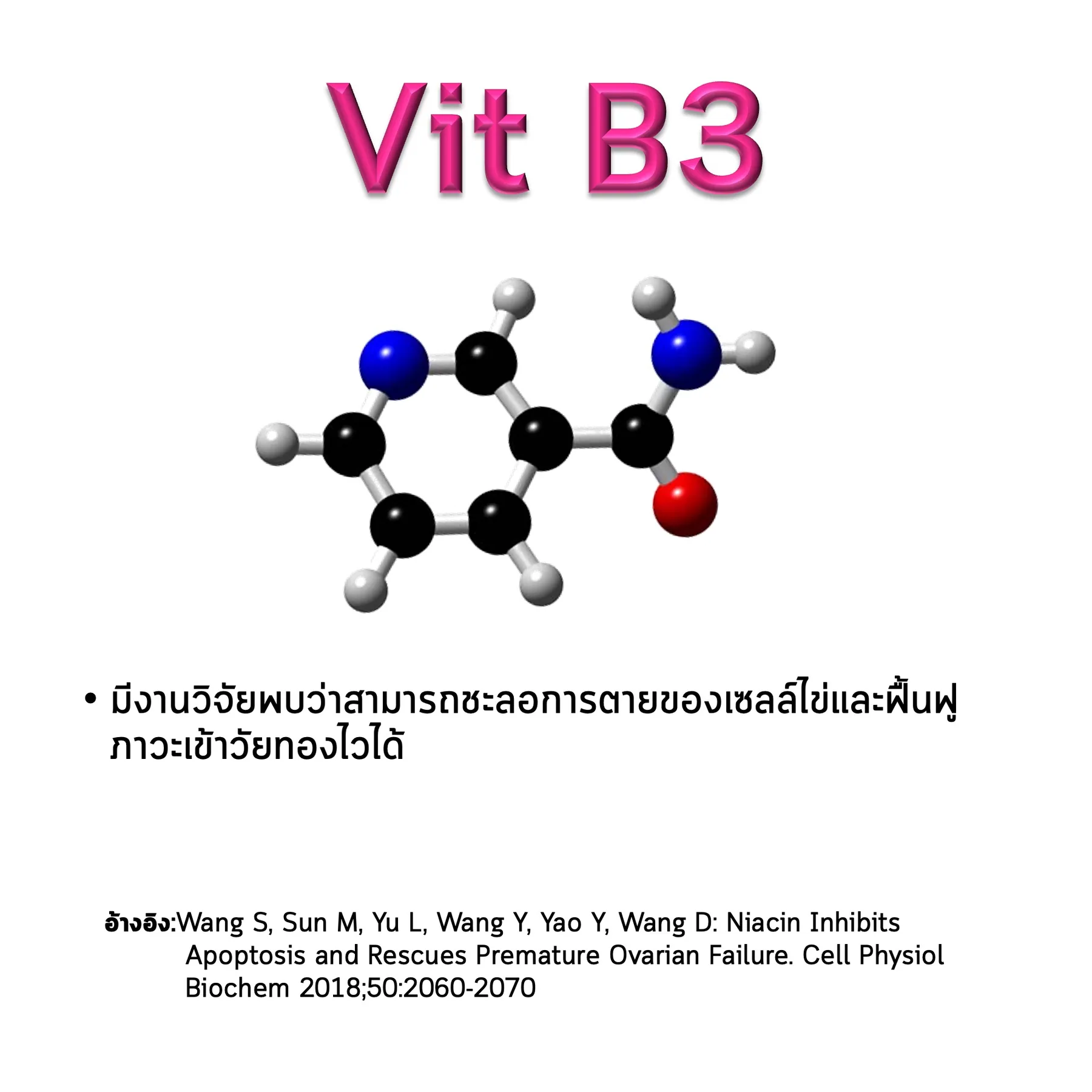 สไลด์ Vit B3: โครงสร้างโมเลกุลของ Niacinamide ผลต่อเซลล์ไข่ และงานวิจัยที่อ้างอิง (Wang และคณะ, 2018)