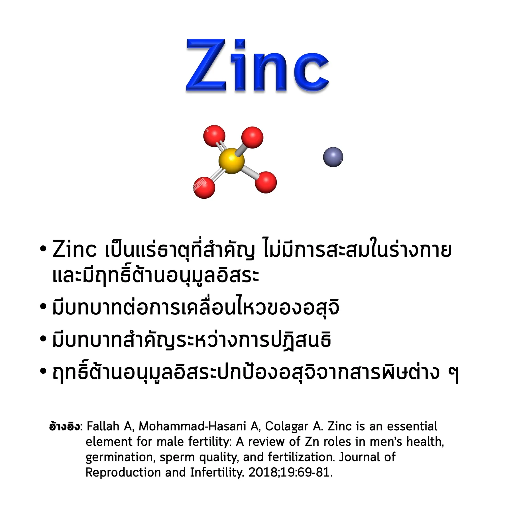สไลด์ Zinc: โครงสร้างโมเลกุล บทบาทต่ออสุจิ และงานวิจัยที่อ้างอิง (Fallah และคณะ 2018)