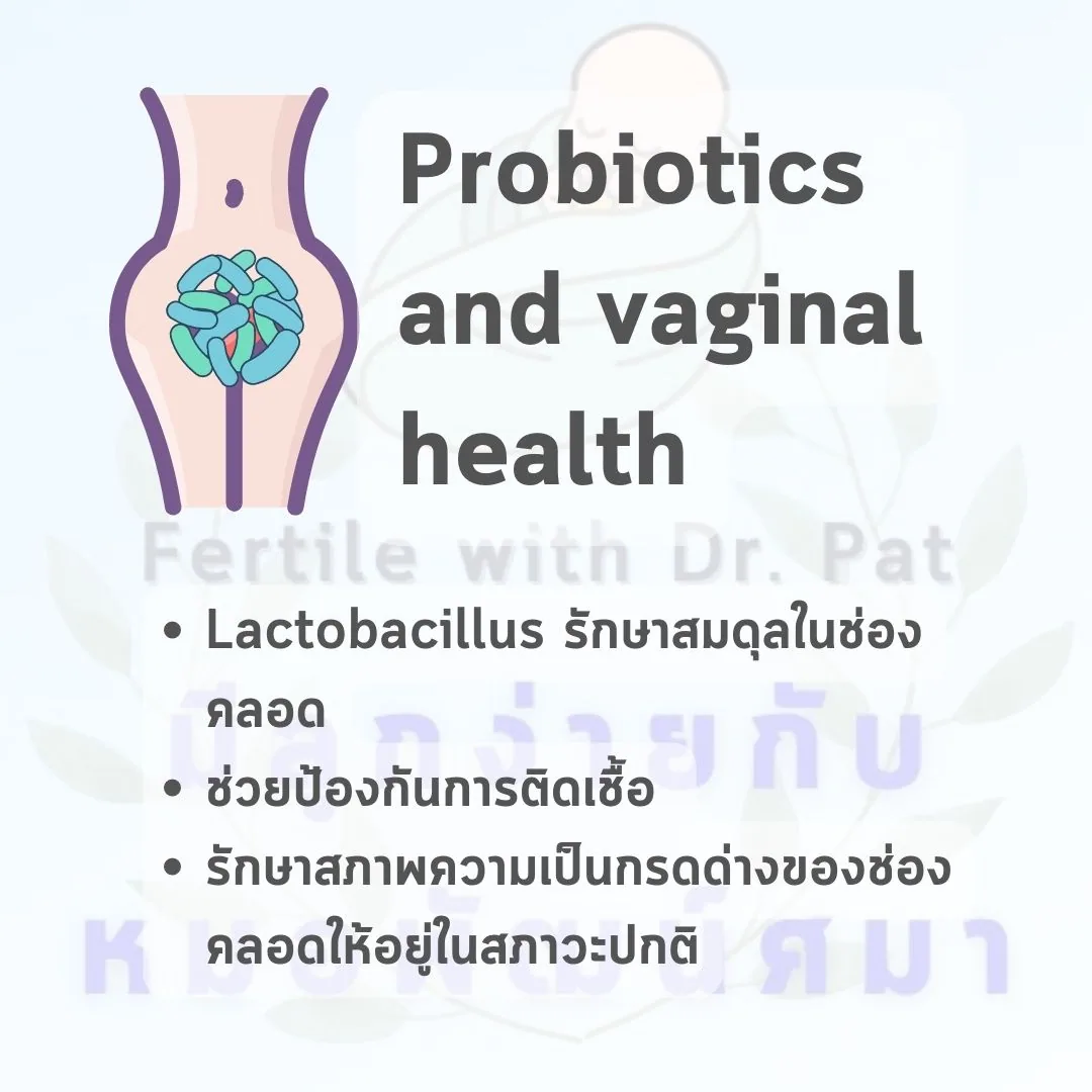 สไลด์ “Probiotics and vaginal health” ภาพประกอบเป็นช่องคลอดที่มีแบคทีเรียรูปแท่งอยู่รวมกันเป็นกลุ่ม ใต้ภาพเป็นข้อความสามข้อ คือ Lactobacillus รักษาสมดุลในช่องคลอด ช่วยป้องกันการติดเชื้อ และรักษาสภาพความเป็นกรดด่างของช่องคลอดให้อยู่ในสภาวะปกติ
