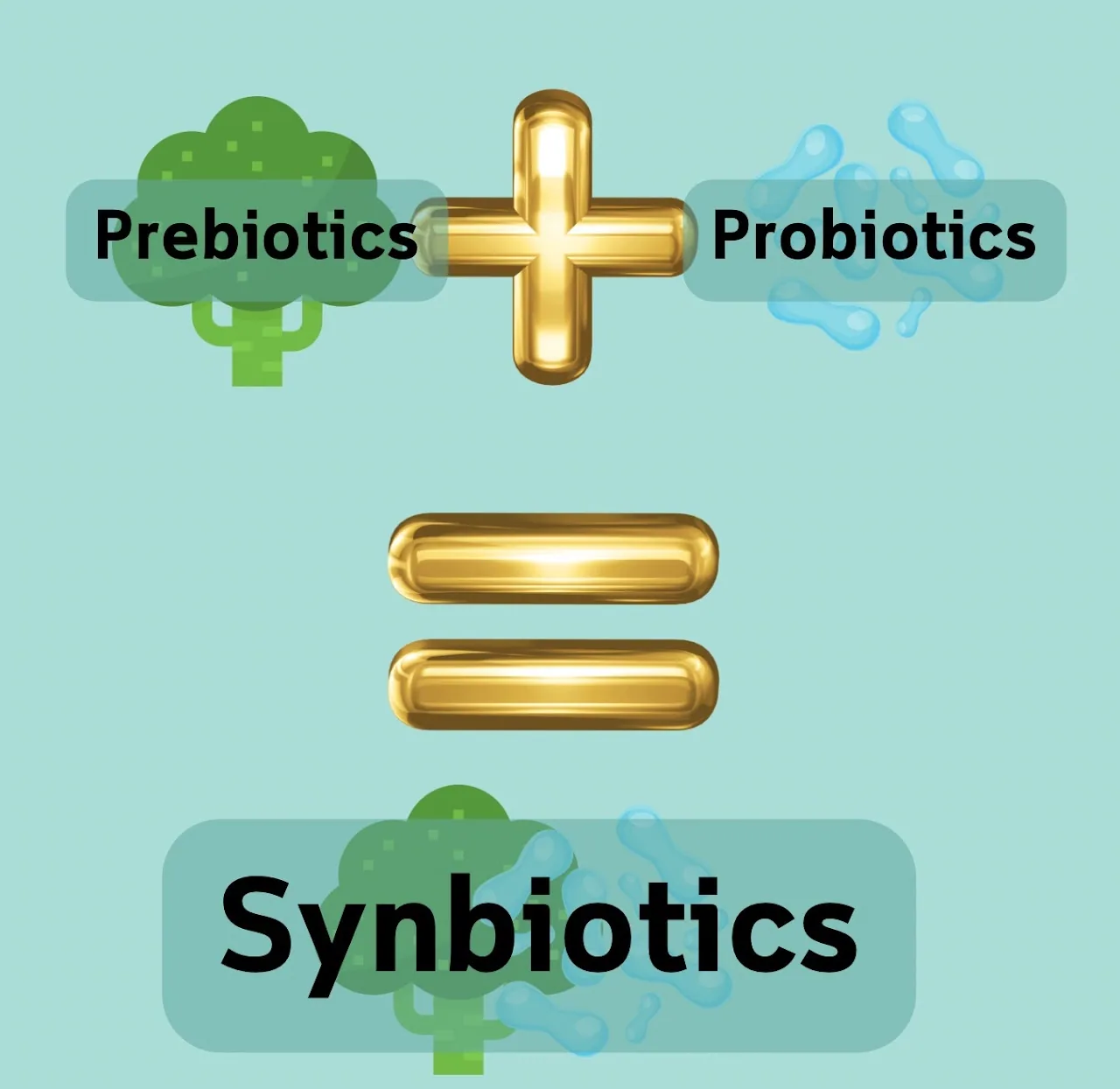 The equation slide — Prebiotics + Probiotics = Synbiotics, with broccoli standing in for the prebiotics and bacteria for the probiotics.