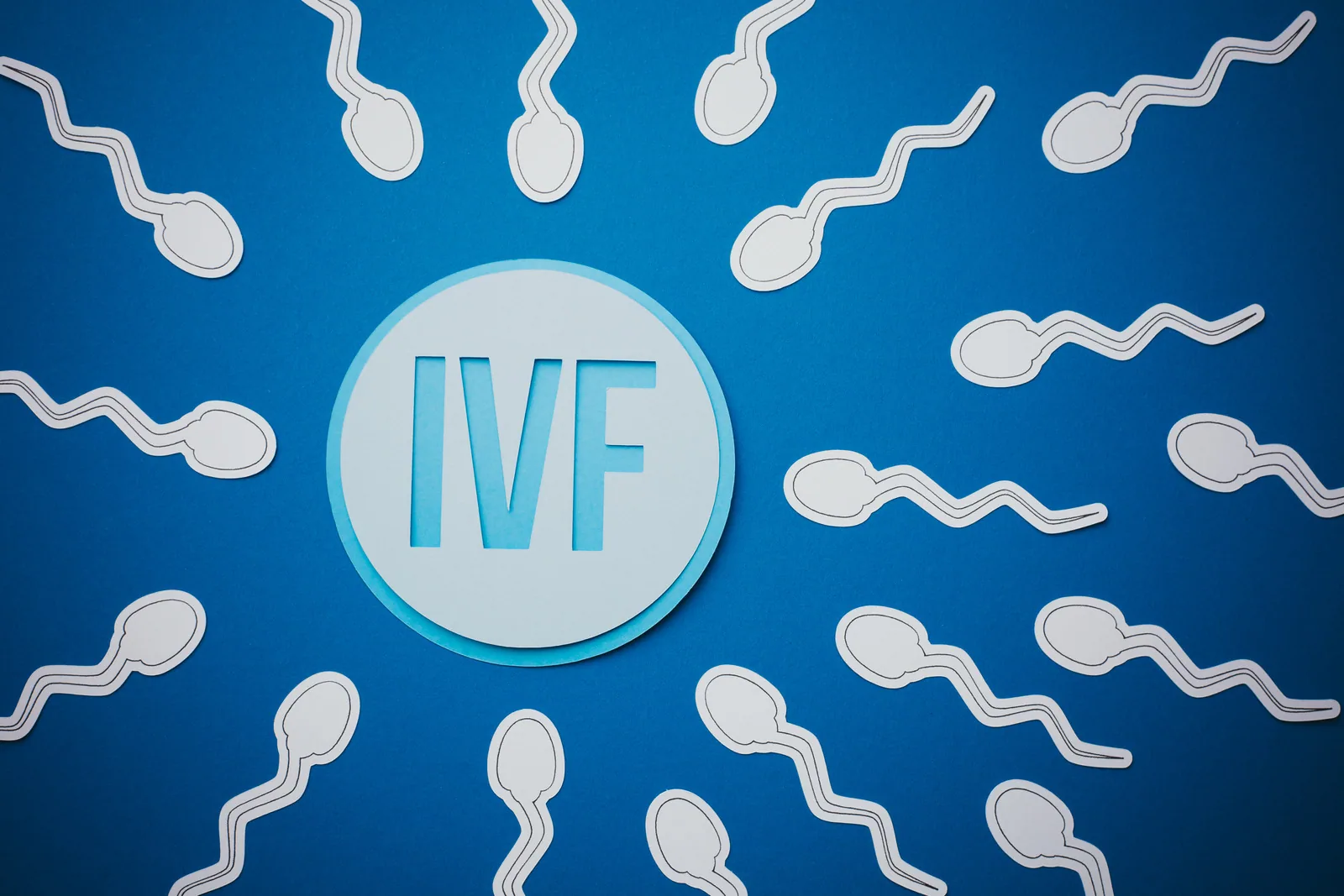 The IVF / ICSI handbook