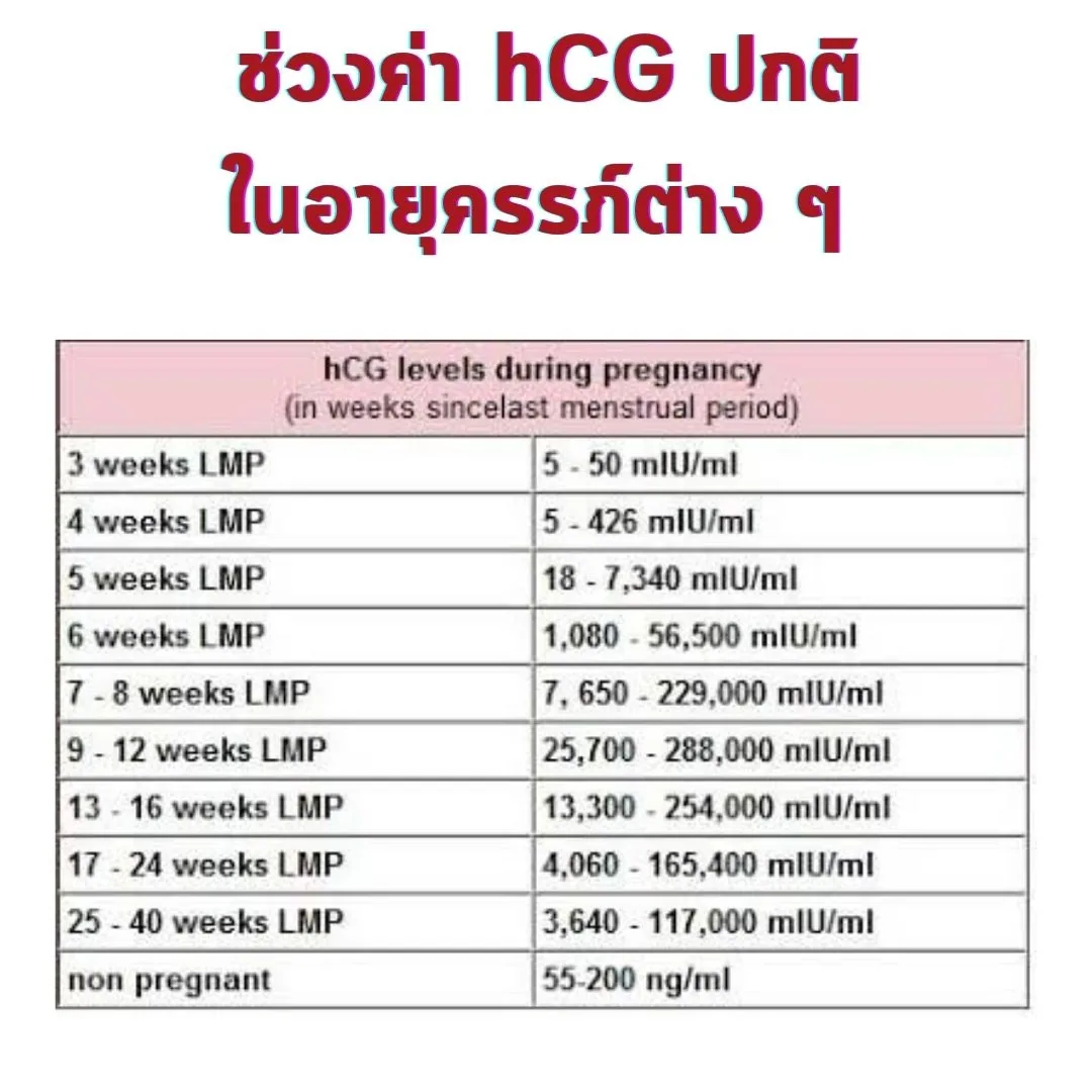 สไลด์ “ช่วงค่า hCG ปกติในอายุครรภ์ต่าง ๆ” เป็นตารางสองคอลัมน์ ซ้ายคืออายุครรภ์นับจากประจำเดือนครั้งสุดท้าย ขวาคือช่วงค่า hCG