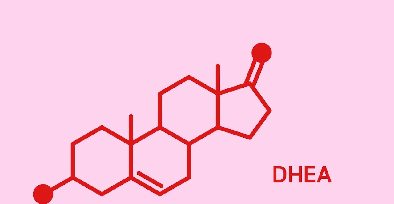 Diagram of the chemical structure of DHEA