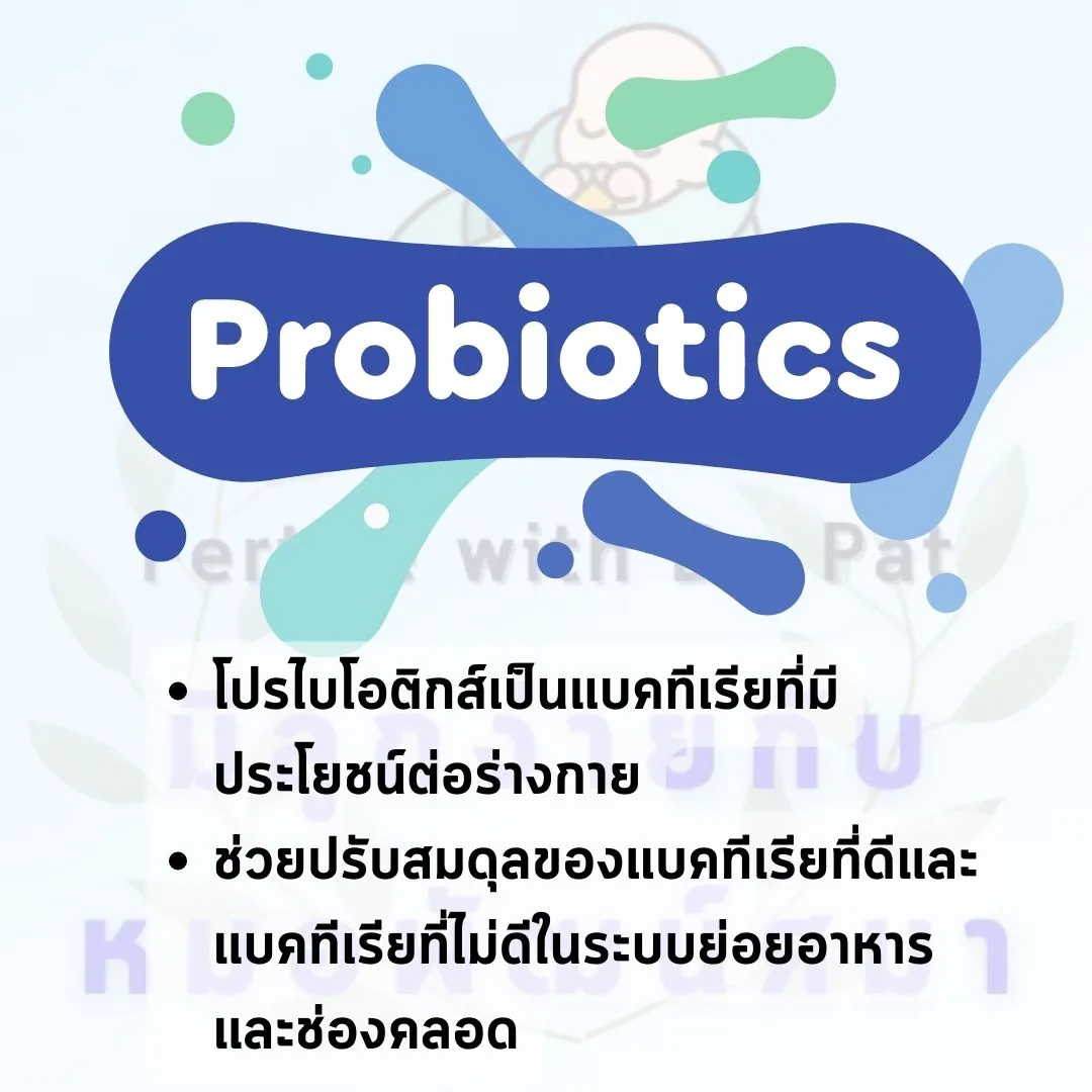 สไลด์ “Probiotics” ภาพประกอบเป็นแบคทีเรียรูปแท่งสีน้ำเงินและเขียว ใต้ภาพเขียนไว้ว่าโปรไบโอติกส์เป็นแบคทีเรียที่มีประโยชน์ต่อร่างกาย และช่วยปรับสมดุลของแบคทีเรียที่ดีและแบคทีเรียที่ไม่ดีในระบบย่อยอาหารและช่องคลอด