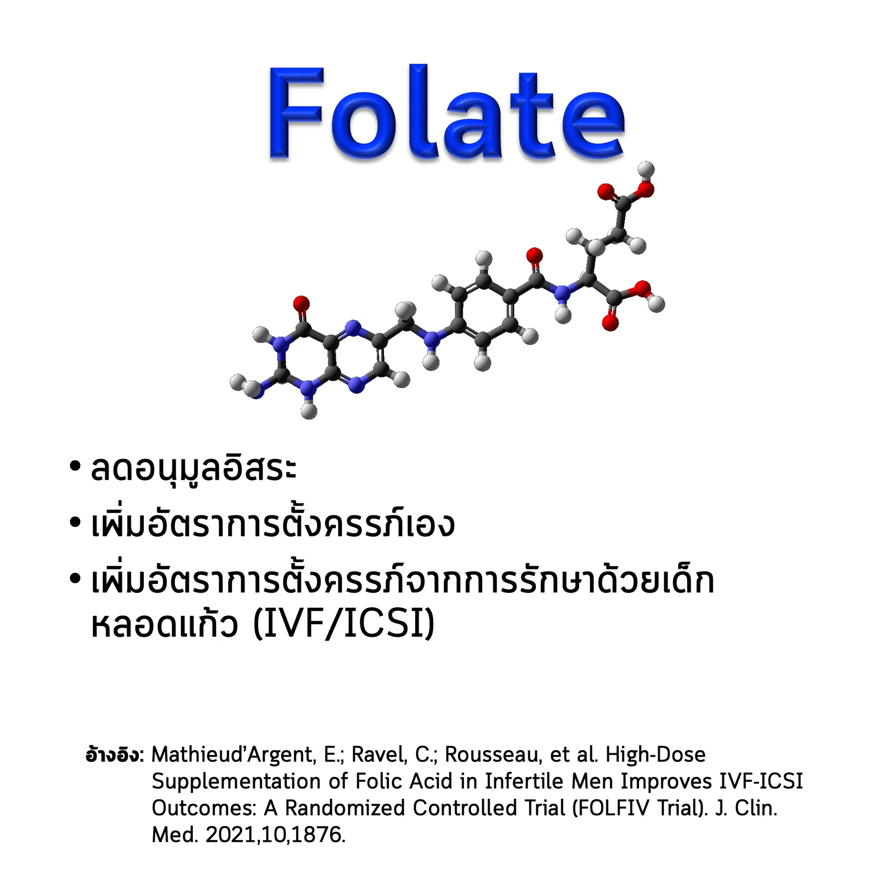 สไลด์ Folate: โครงสร้างโมเลกุล ประโยชน์ต่อการตั้งครรภ์ และงานวิจัยที่อ้างอิง (Mathieu d’Argent และคณะ 2021)