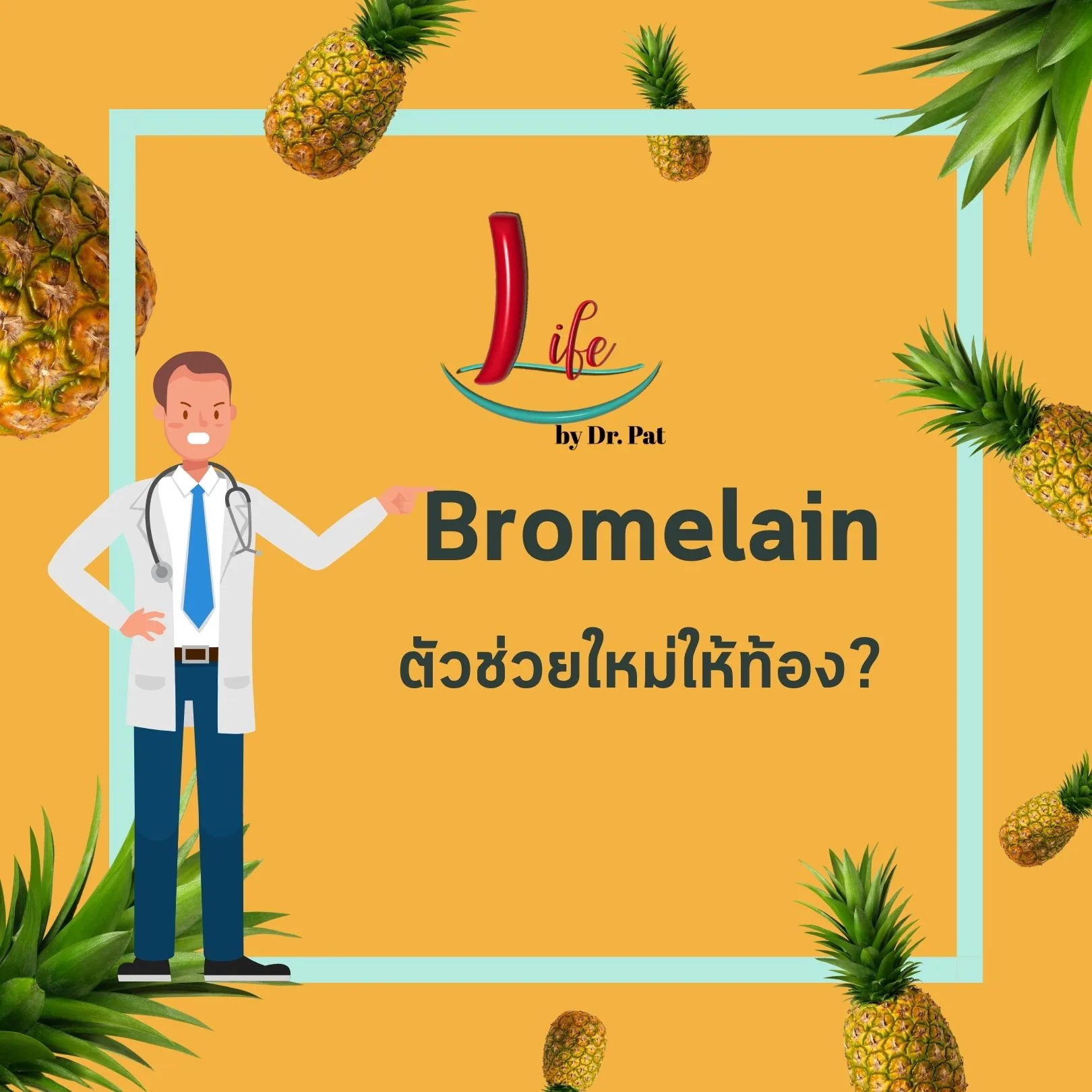 การ์ดเปิดบทความ — “Bromelain ตัวช่วยใหม่ให้ท้อง?”