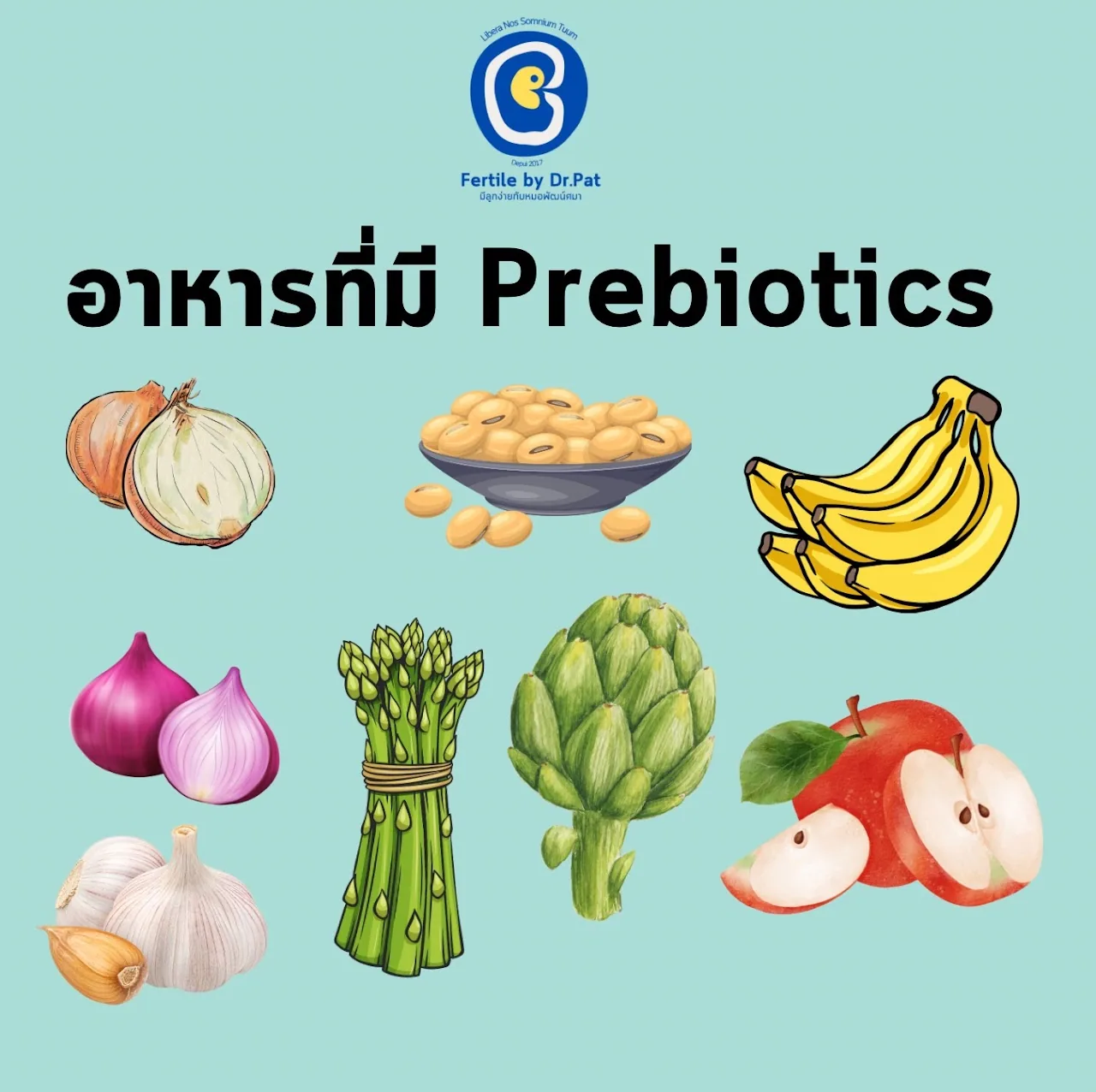 The slide “อาหารที่มี Prebiotics” — foods that contain prebiotics — with drawings of onion, a bowl of soybeans, bananas, a purple onion, asparagus, artichoke, apple and garlic.