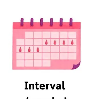 ภาพประกอบสี่ช่อง แทนลักษณะสี่อย่างของรอบเดือนปกติ — ปฏิทินที่มีหยดเลือด (Interval), หยดเลือดเรียงเป็นตาราง บางหยดเป็นเพียงเส้นขอบ (Duration), ผ้าอนามัยที่มีเลือด (Amount) และผ้าอนามัยกับปฏิทินที่มีหยดเลือดอยู่แถวหนึ่ง (Regularity)