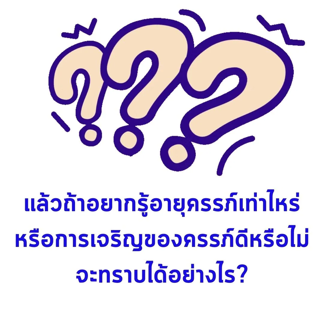 สไลด์คำถาม เครื่องหมายคำถามสามตัวขนาดใหญ่ ใต้ภาพเขียนว่า “แล้วถ้าอยากรู้อายุครรภ์เท่าไหร่ หรือการเจริญของครรภ์ดีหรือไม่ จะทราบได้อย่างไร?”