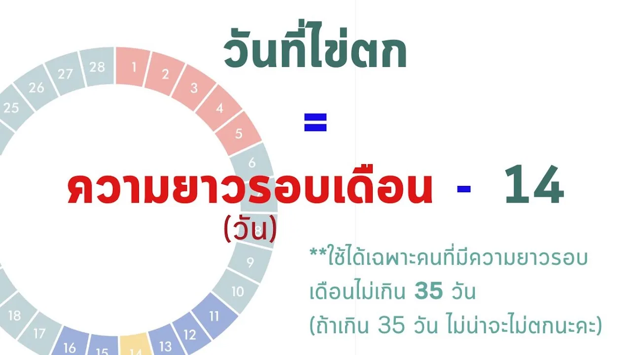 The formula slide: **the day of ovulation = the length of the cycle − 14 (days)**. Beside it is a 28-day cycle wheel — days 1–5 shaded pink for the period, days 11–16 in blue, and day 14 highlighted in yellow. The slide notes that this only applies to someone whose cycle is not longer than 35 days.