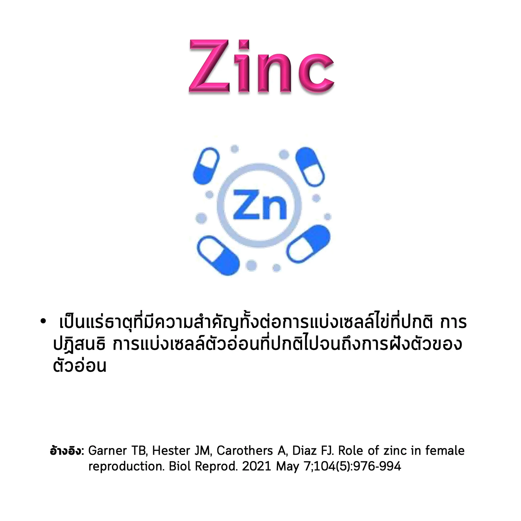 สไลด์ Zinc: บทบาทของแร่ธาตุ Zinc ตั้งแต่การแบ่งเซลล์ไข่จนถึงการฝังตัวของตัวอ่อน และงานวิจัยที่อ้างอิง (Garner และคณะ, 2021)