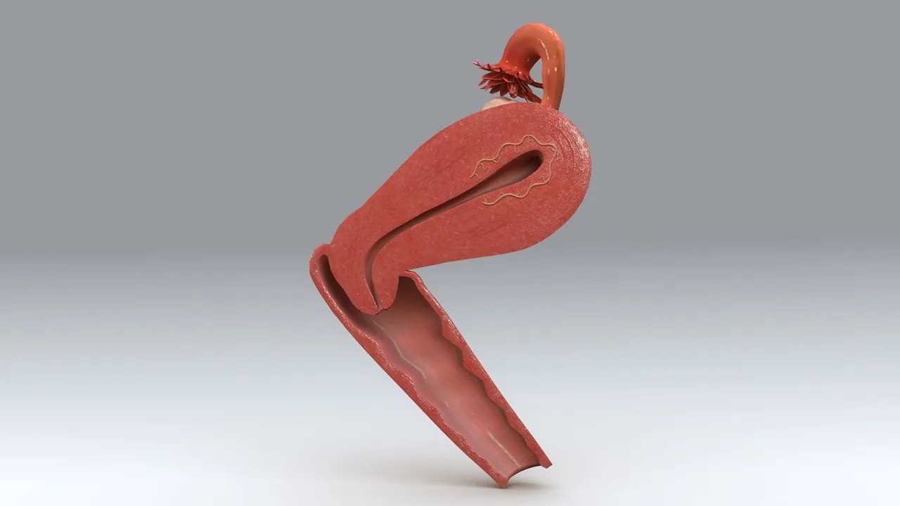 Hysteroscopy compared: normal vs dysmorphic uterus