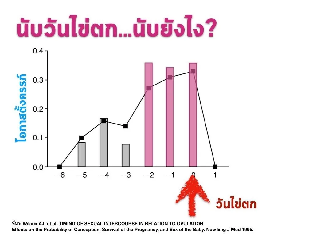 The slide “Counting the ovulation day… how?” — a graph of the probability of pregnancy against the day intercourse took place, with the day of ovulation as day 0 (red arrow). The three pink bars are days −2, −1 and 0, the tallest at about 0.35; day +1 is zero. Source: Wilcox AJ, et al. Timing of sexual intercourse in relation to ovulation. New Eng J Med 1995