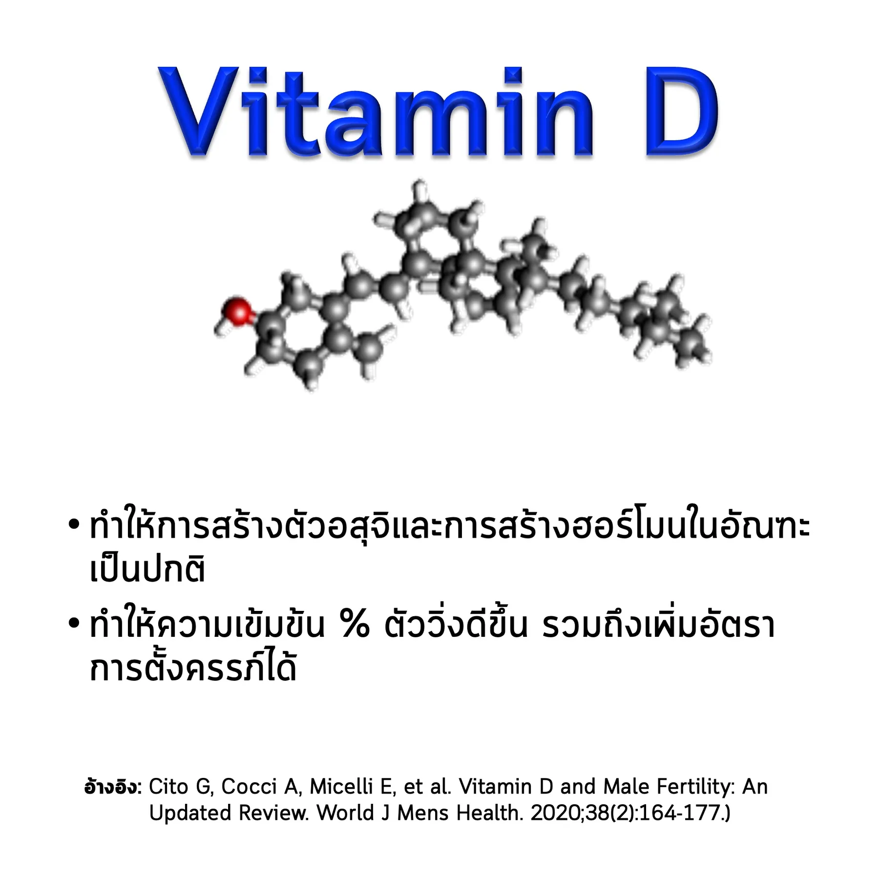 สไลด์ Vitamin D: โครงสร้างโมเลกุล ประโยชน์ต่ออสุจิ และงานวิจัยที่อ้างอิง (Cito และคณะ 2020)